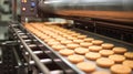 Production line of baking cookies. Biscuits on conveyor belt in confectionery factory. Royalty Free Stock Photo