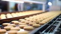 Production line of baking cookies. Biscuits on conveyor belt in confectionery factory.