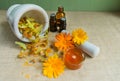 Production of natural cosmetics. Medicinal flowers of calendula, chamomile, mint and herbal tincture. Medicinal herbs. Organic cos