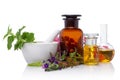 Production of natural medicines, compositions. Herbal medicine Royalty Free Stock Photo