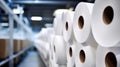 Production of new goods at the factory, modern technologies. toilet paper White Royalty Free Stock Photo
