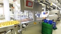 Production of pralines in a factory for the food industry - conveyor belt worker with chocolate