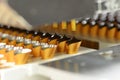 Production of pralines in a factory for the food industry