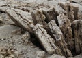 Production of salt on Karum lake, Danakil, Afar Ethiopia Royalty Free Stock Photo