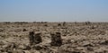 Production of salt on Karum lake, Danakil, Afar Ethiopia Royalty Free Stock Photo