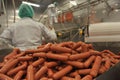 Production of sausages and sausages at the food factory Pitproduct Royalty Free Stock Photo