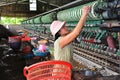 Silk making in Vietnam