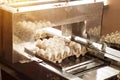 Production for sorting chicken eggs, the process of selection of chicken eggs, close-up, picking