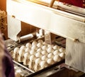 Production for sorting chicken eggs, the process of selection of chicken eggs, close-up, sorting