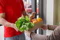 Products delivery directly from market. Hands of girl take box from courier