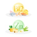 Products ontaining Vitamin B12 and Zinc with Seafood, Cheese and Legume Vector Composition Set Royalty Free Stock Photo