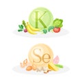 Products ontaining Vitamin K and Selenium with Fruit, Vegetables, Cheese and Eggs Vector Composition Set Royalty Free Stock Photo