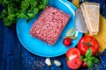 Products for the preparation of Pasta Bolognese. Minced meat, tomatoes, spaghetti, Basil, Parmesan cheese, spices Royalty Free Stock Photo