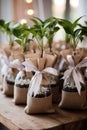 products and souvenirs from seed starter kits, with ribbon and label