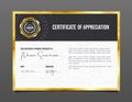 Professional achievement certificate. Template diploma with luxury and pattern. Royalty Free Stock Photo