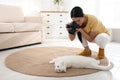 Professional animal photographer taking picture of white cat indoors Royalty Free Stock Photo