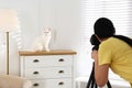 Professional animal photographer taking picture of white cat indoors, closeup Royalty Free Stock Photo