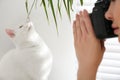 Professional animal photographer taking picture of white cat indoors, closeup Royalty Free Stock Photo