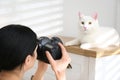 Professional animal photographer taking picture of white cat indoors, closeup Royalty Free Stock Photo