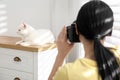 Professional animal photographer taking picture of white cat indoors Royalty Free Stock Photo