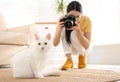 Professional animal photographer taking picture of white cat indoors Royalty Free Stock Photo