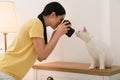 Professional animal photographer taking picture of white cat indoors Royalty Free Stock Photo