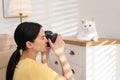 Professional animal photographer taking picture of white cat indoors Royalty Free Stock Photo