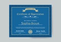 Professional Appreciation Award Certificate Template