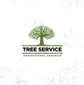 Professional Arborist Tree Care Service Organic Eco Sign Concept. Landscaping Design Raw Vector Illustration Royalty Free Stock Photo
