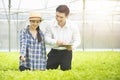 Professional asian man scientist check quality of green vegetable hydroponic farm standing with asian woman gardener farm,Small