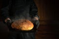 Professional baker holds in his hands freshly baked hot bread on a sheet pan in the bakery. Presentation of bakery products. Place Royalty Free Stock Photo