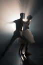 Professional ballet couple dancing in spotlights smoke on big stage. Beautiful young woman and man on floodlights