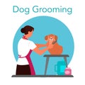 Professional barber grooming dog. Woman caring of pet fur