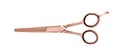 Professional barber thinning shears scissors