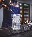 Professional bartender prepare a fresh cocktai