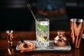 Professional bartender preparing cocktails with mojito at bar counter. Gin Tonic cocktail served in restaurant, pub and bar. Long