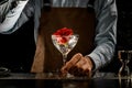 Professional bartender throwing a big red rose bud to a martini glass with a alcoholic cocktail Royalty Free Stock Photo