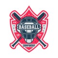 Professional baseball championship vintage label