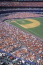 Professional Baseball game Royalty Free Stock Photo