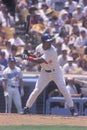 Professional Baseball player at bat, Dodger Stadium, Los Angeles, CA Royalty Free Stock Photo
