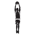 Professional basketball player silhouette jumping and shooting ball into the hoop, vector illustration Royalty Free Stock Photo