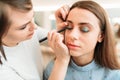 Professional beautician work with woman eyebrows Royalty Free Stock Photo