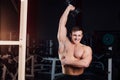 Professional bodybuilder workout with barbell sitting on the bench at gym. Big Confident muscular man training. Royalty Free Stock Photo