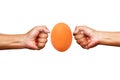 Professional box fight and dieting concept. Hand fist and brown egg isolated on white background Royalty Free Stock Photo