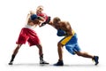 2 two professional box figters isolated on the white background