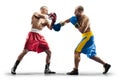 2 two professional box figters isolated on the white background