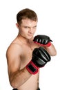 Professional boxer isolated on white background
