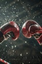 Professional Boxing Match in Action Royalty Free Stock Photo