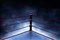 Professional boxing ring on smoke backgrounds