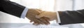 Professional businessman and businesswoman partners shaking hands together with business success deal and agreement. Hands